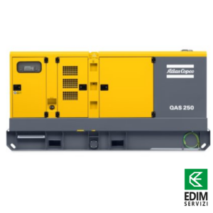 Noleggio Gruppo Elettrogeno 250 KVA